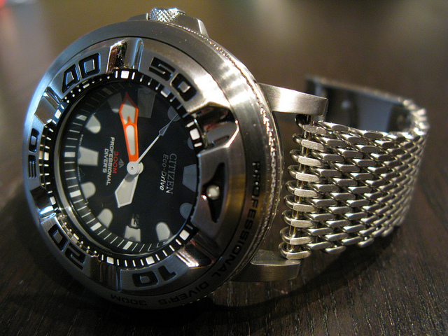 citizen pro master dive watch