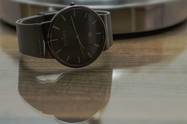 skagen watch